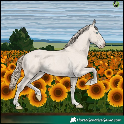 Horse Color:Smoky Creme Roan 