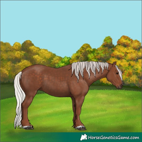 Horse Color:Silver Black