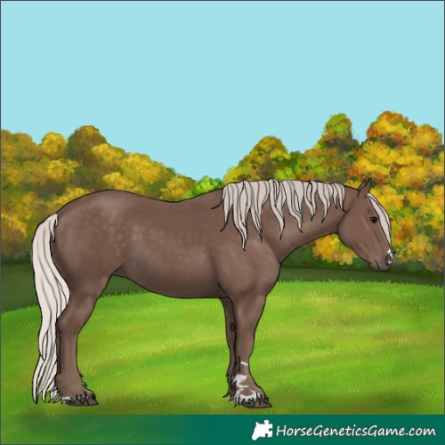 Horse Color:Silver Black 