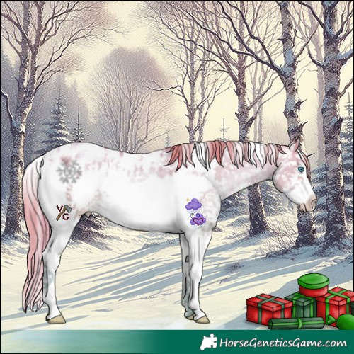 Horse Color:Watercolor White Spotted Brown Snowdrop Pearl Dun Splash Blanket Rabicano 