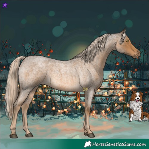 Horse Color:Chocolate Palomino Roan 
