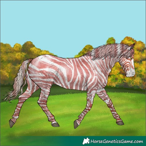 Horse Color:Chocolate Palomino Roan 