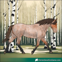 Horse Color:Bay Roan Varnish 