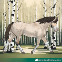 Horse Color:Bay Roan Dun Splash 
