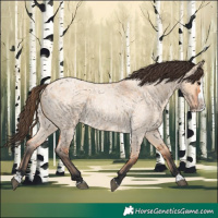 Horse Color:Bay Roan Dun Splash
