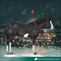 Horse Color:Black Splash Frame