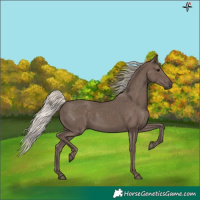 Horse Color:Silver Black 