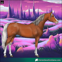 Horse Color:White Spotted Silver Bay Splash 