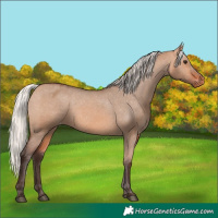 Horse Color:Unknown 