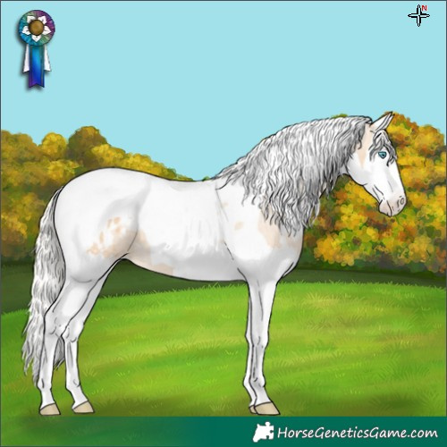 Horse Color:White Spotted Silver Smoky Black Pearl Splash Tobiano Appaloosa 