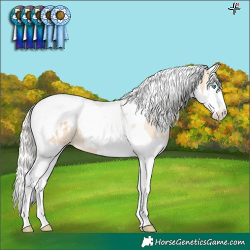 Horse Color:White Spotted Silver Smoky Black Pearl Splash Tobiano Blanket