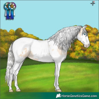 Horse Color:White Spotted Silver Smoky Black Pearl Splash Tobiano Appaloosa 