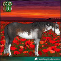 Horse Color:White Spotted Brown 
