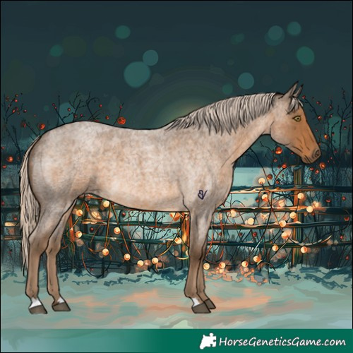 Horse Color:Chocolate Palomino Roan 