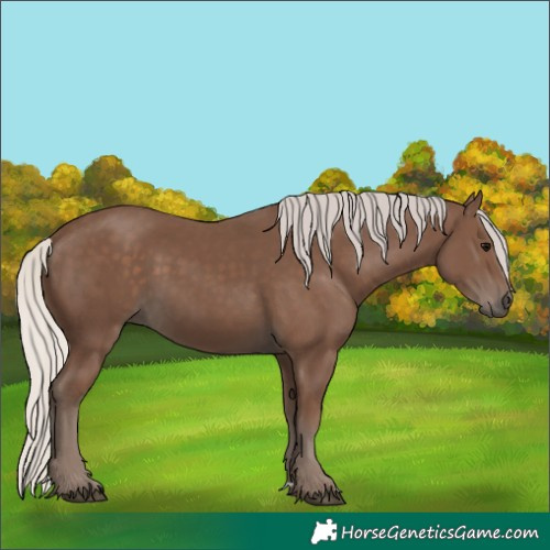 Horse Color:Silver Black
