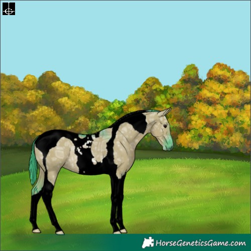 Horse Color:Watercolor Grullo Ice Tobiano Rabicano 