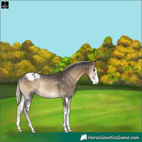 Horse Color:Silver Smoky Blue Onyx Sabino Appaloosa Rabicano 