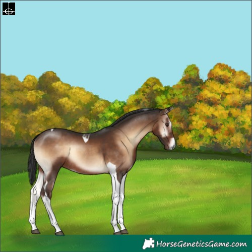 Horse Color:Liver Red Onyx Tobiano Rabicano 