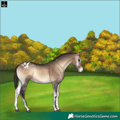 Horse Color:Brown Onyx Varnish Rabicano 