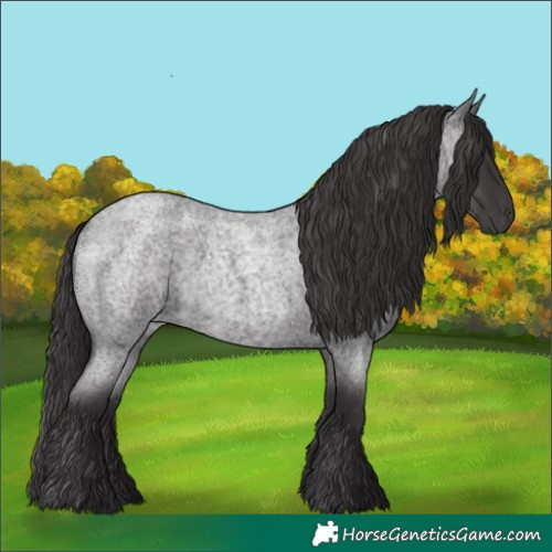 Horse Color:Smoky Blue Roan 