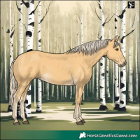 Horse Color:Palomino 