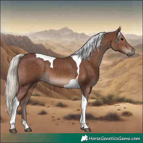 Horse Color:Silver Black Tobiano 