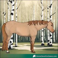 Horse Color:Red Dun 