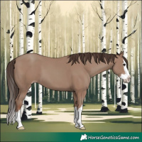 Horse Color:Classic Champagne Splash 