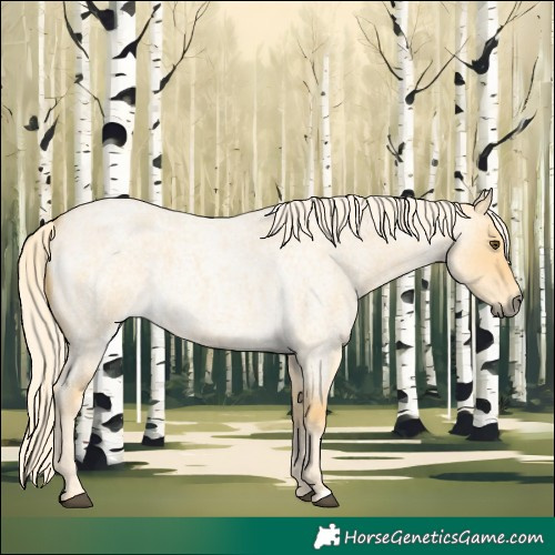 Horse Color:Palomino Roan Dun 