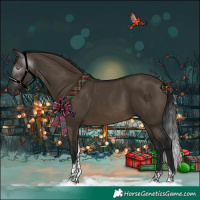 Horse Color:Gray Brown Dun Tobiano 