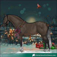 Horse Color:Gray Brown Dun Tobiano 