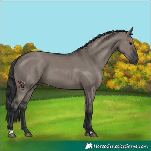 Horse Color:Grullo