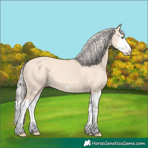 Horse Color:Silver Classic Champagne Dun Splash Frame 