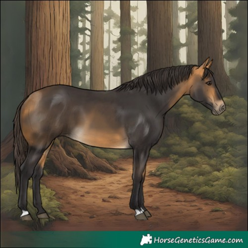 Horse Color:Buckskin