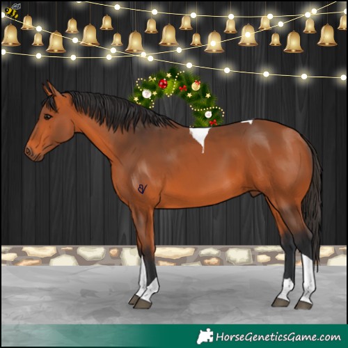 Horse Color:Bay Tobiano 