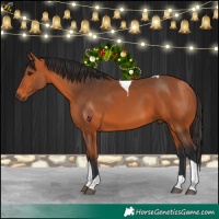 Horse Color:Bay Tobiano 