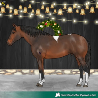 Horse Color:Bay Tobiano 