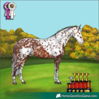 Horse Color:Chocolate Bay Splash Tobiano Skewed LP Spotted