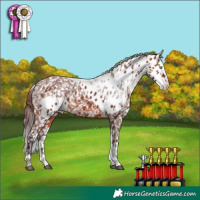 Horse Color:Chocolate Bay Splash Tobiano Skewed LP Spotted 