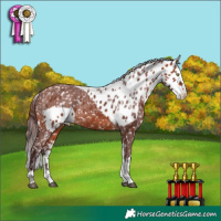 Horse Color:Chocolate Bay Splash Tobiano Skewed Appaloosa 