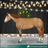 Horse Color:Gray Red Dun 