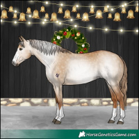 Horse Color:Gray Red Dun 
