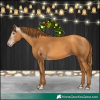 Horse Color:Gray Gold Champagne