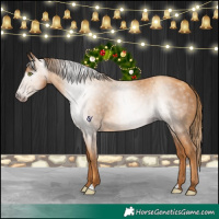 Horse Color:Gray Gold Champagne 