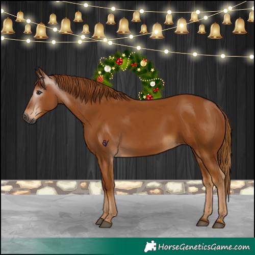 Horse Color:Gray Chestnut 