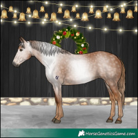Horse Color:Gray Chestnut