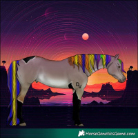Horse Color:Painted Red Dun Tobiano