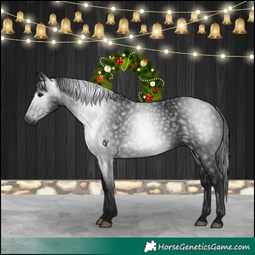 Horse Color:Gray Black 