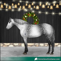 Horse Color:Gray Black