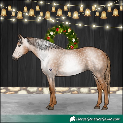Horse Color:Gray Chestnut